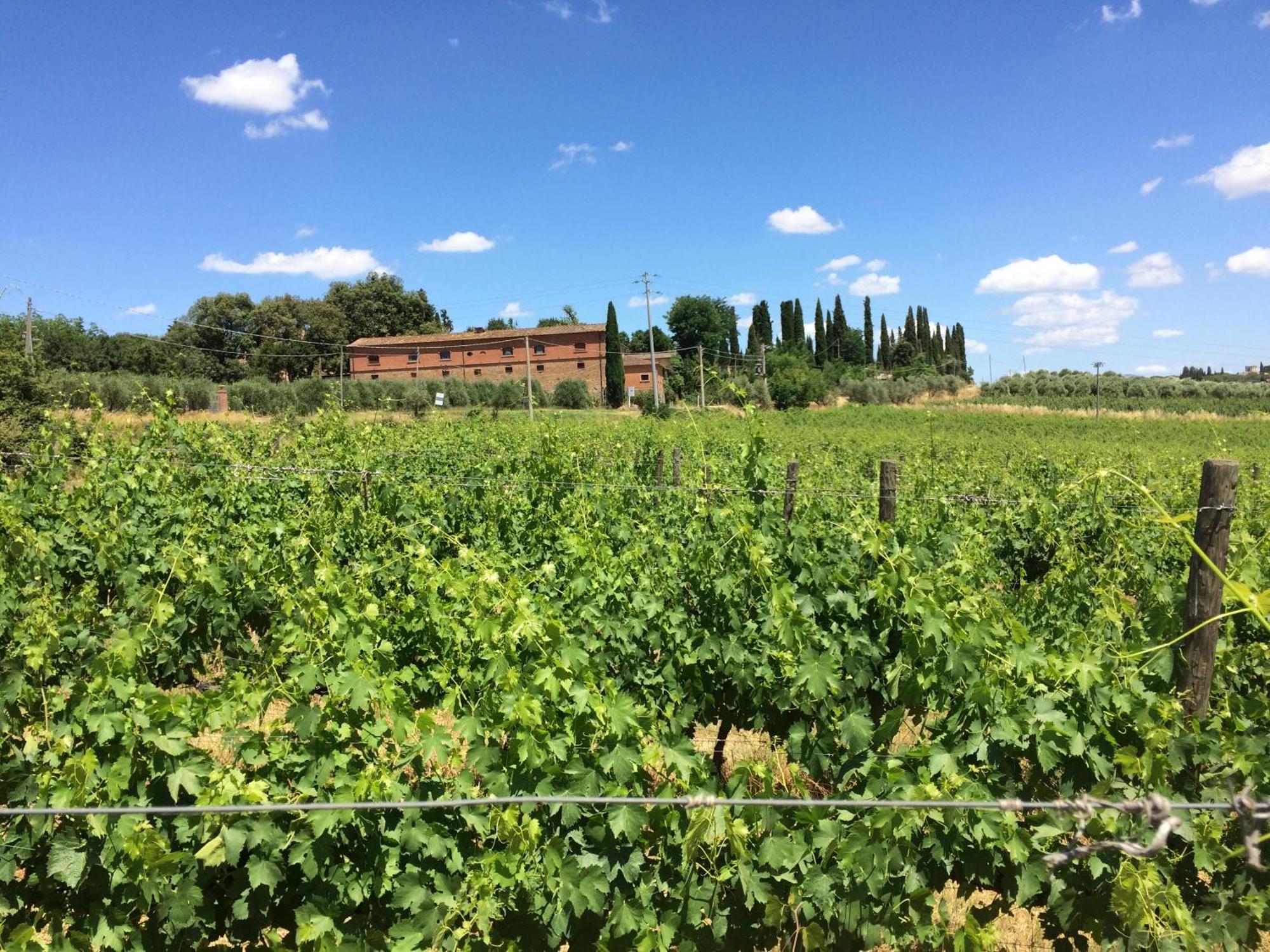 Agriturismo Fattoria Santa Vittoria Pozzo  Экстерьер фото